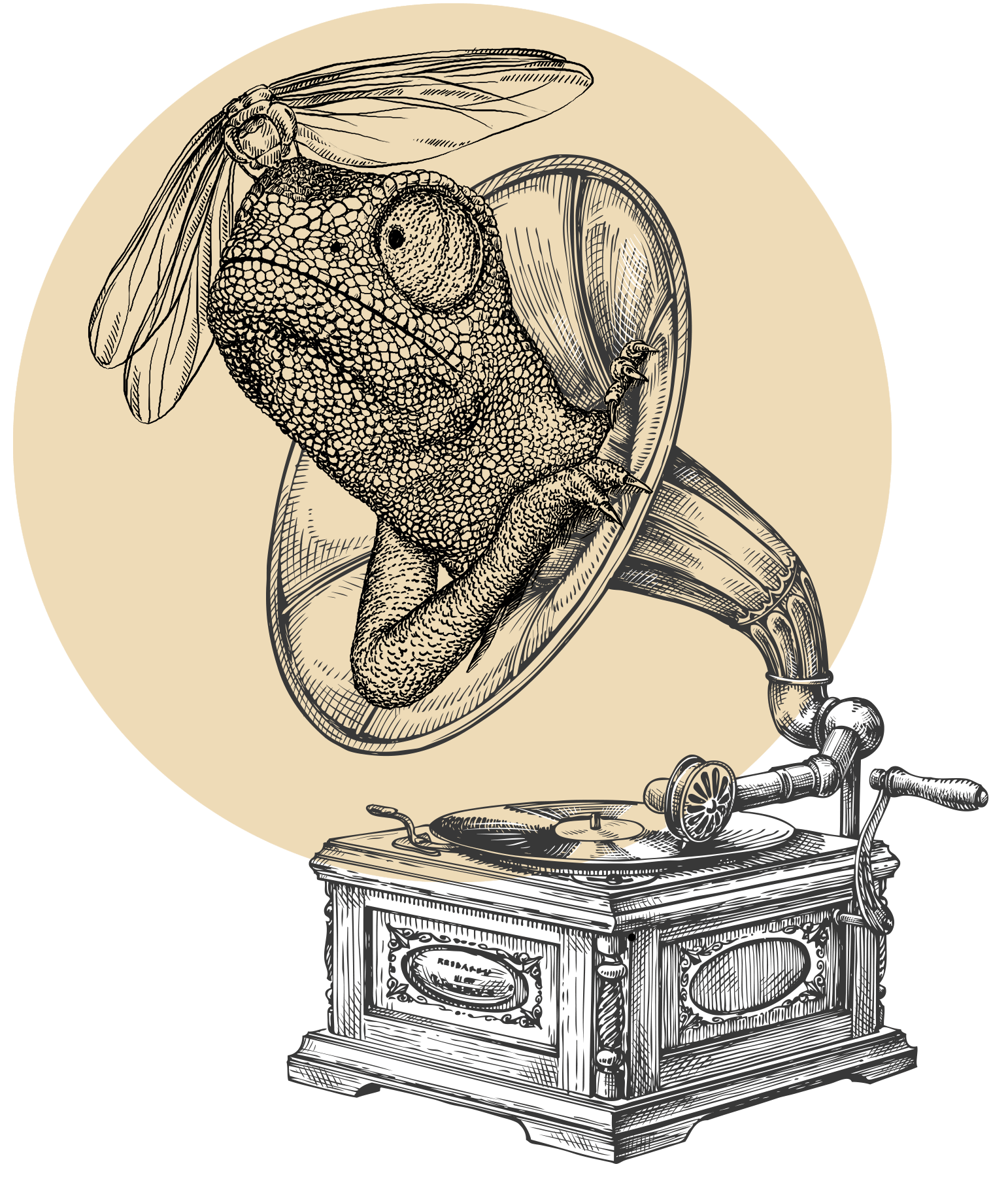 florimond-gramophone-design