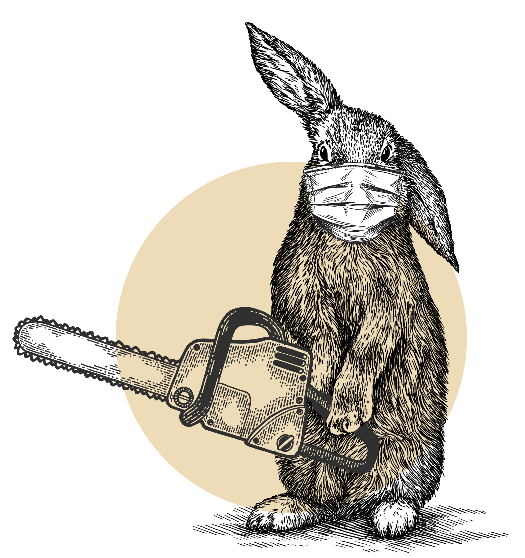 florimond-lapin-design